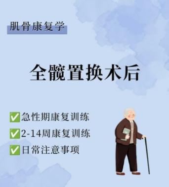 提供术后功能恢复与活动能力重建指导服务